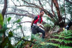 BIB: 
                            <button type="button" onclick="openModal(26295322)" class="btn btn-primary btn-sm float-right btn-popup" data-toggle="modal" data-target=".modal-high-quality">
                        <i class="fas fa-shopping-cart"></i> Add to Cart
                    </button>
                                            <button type="button" onclick="isThisMe(26295322, true)" class="btn btn-success btn-sm float-right btn-popup btn-isme hidden" data-toggle="tooltip" data-placement="bottom" title="นี่คือรูปของคุณใช่ไหม คลิกที่นี่เพื่อเอาเข้าอัลบั้ม">
                        <i class="fas fa-plus"></i> Add to album
                    </button>
                    <button type="button" onclick="isThisMe(26295322, false)" class="btn btn-warning btn-sm float-right btn-popup btn-isnotme hidden">
                        <i class="fas fa-ban"></i> Remove from album
                    </button>